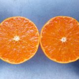 柑橘類